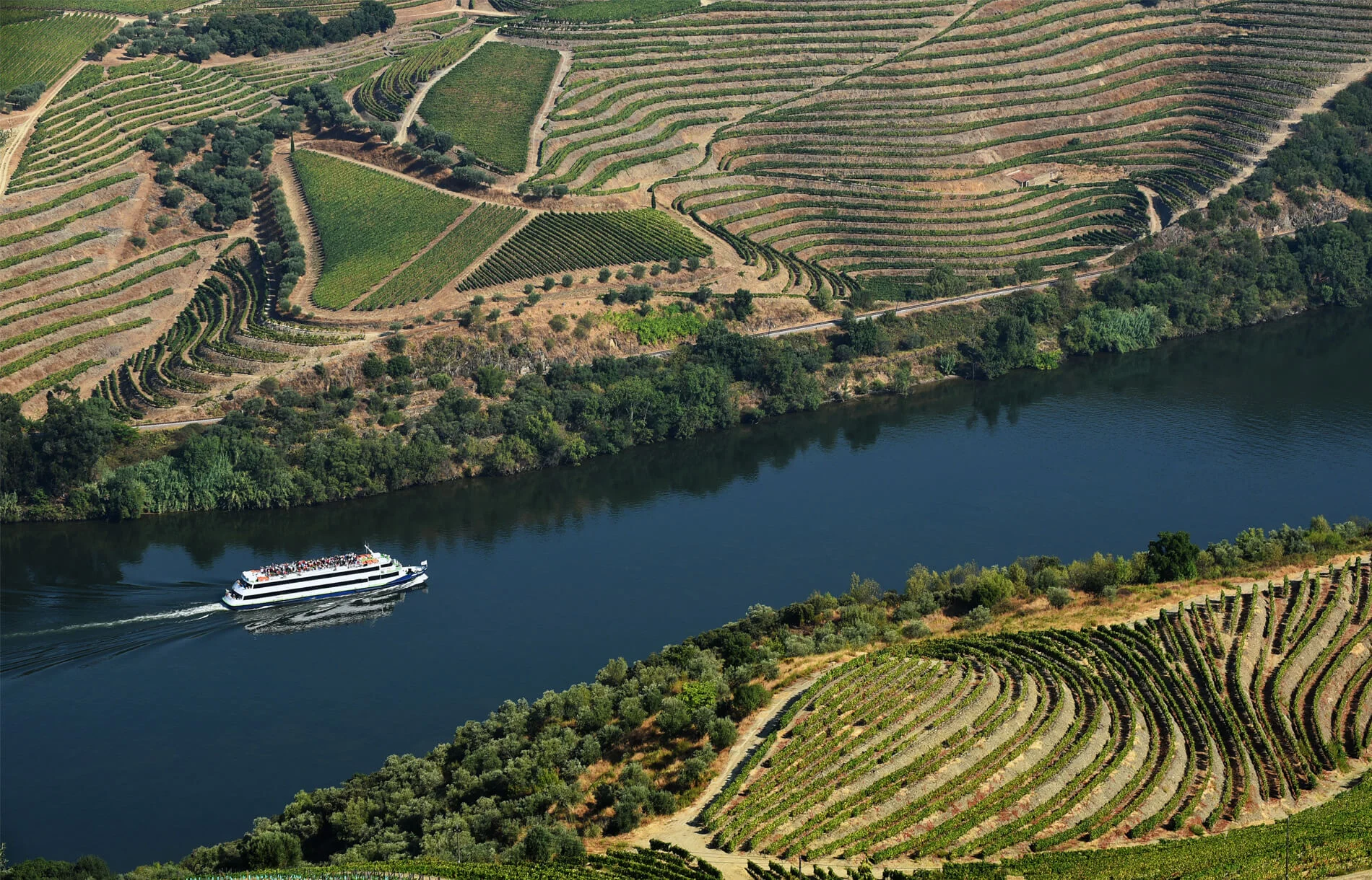 Cruise at Douro River